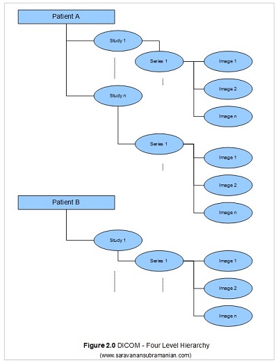 Four Level Hierarchy